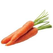 Carrot