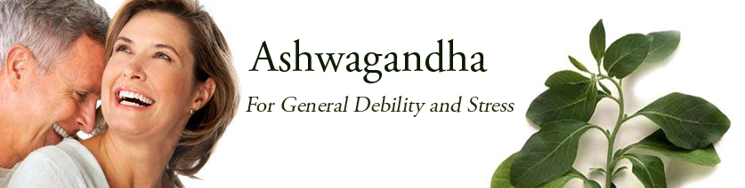 Ashwagandha Churna